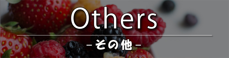 その他